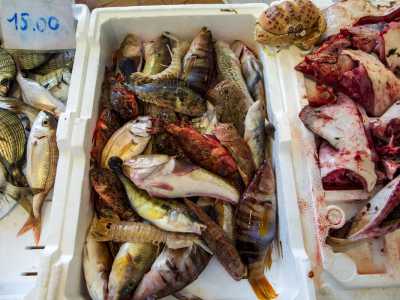 ...al colorato e appetitoso �ciambotto�, ovvero il pesce da zuppa